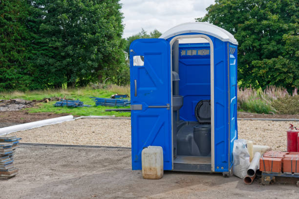 Best Portable Toilets with Baby Changing Stations  in Ferndale, PA